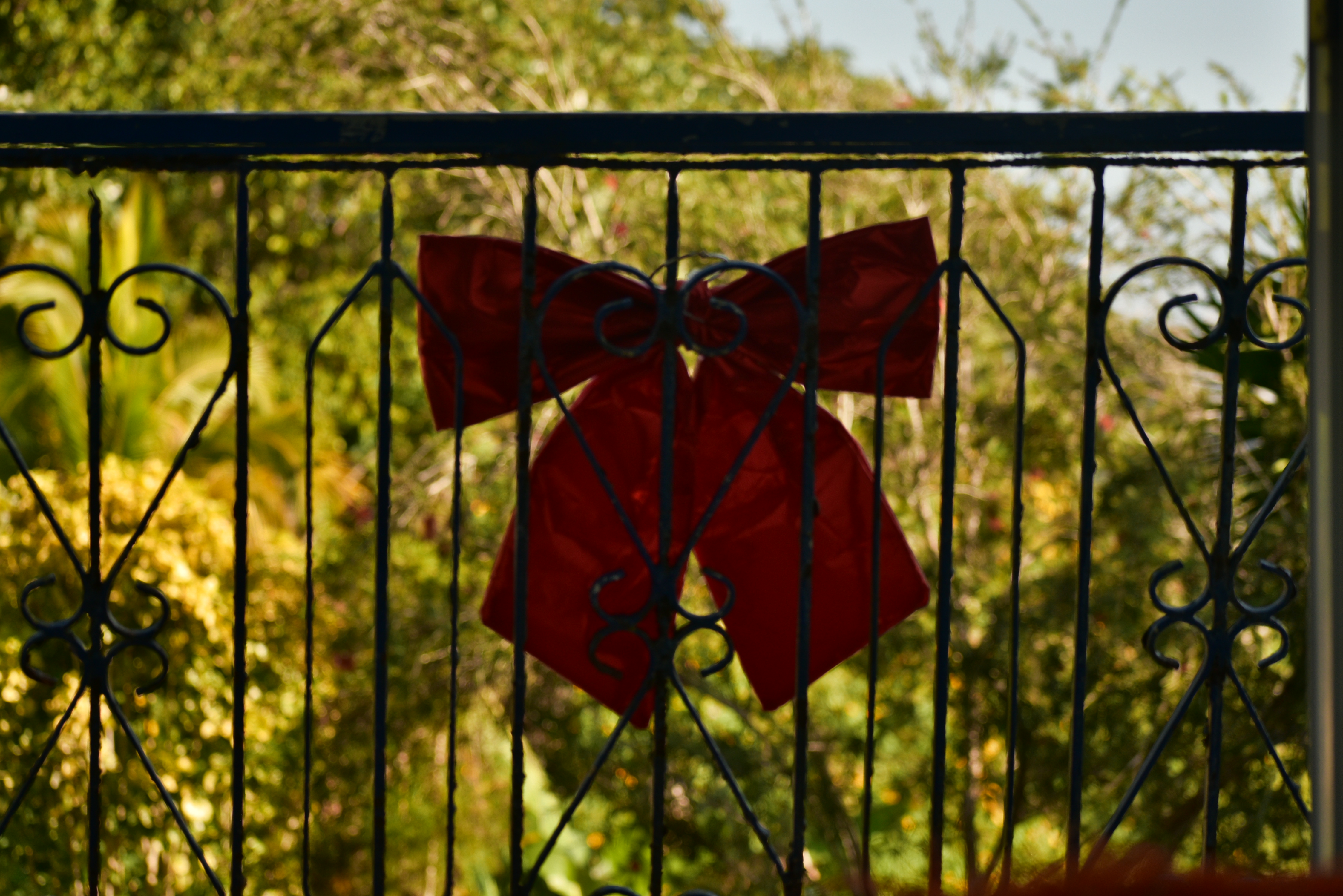 The One’s That Care